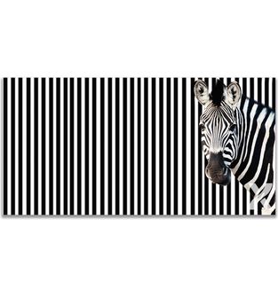 Cuadro-Stripe-Zebra