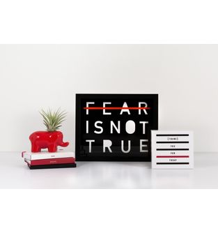 Cuadro-Fear-Is-Not-True