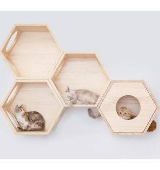 Gimnasio-para-gatos-Castelli-1